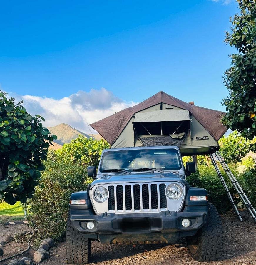 Explore Maui'S Diverse Campgrounds And Uncover The Island'S Beauty From Fresh Perspectives Every Day As You Journey With Aloha Glamp'S Great Jeep Equipped With A Rooftop Tent Paia Eksteriør billede