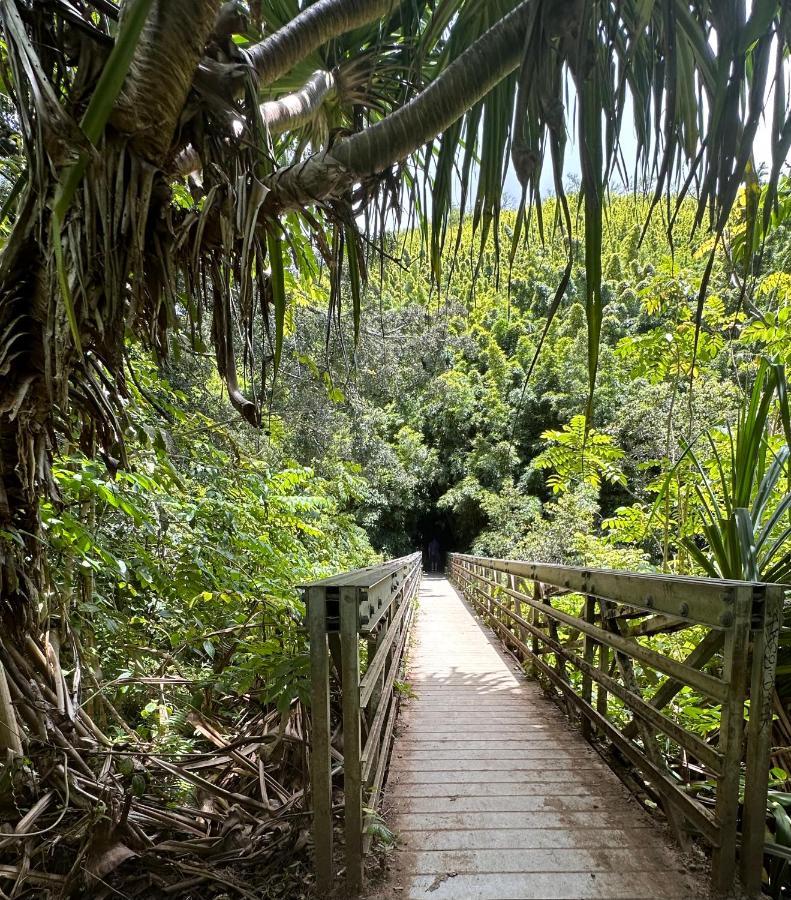 Explore Maui'S Diverse Campgrounds And Uncover The Island'S Beauty From Fresh Perspectives Every Day As You Journey With Aloha Glamp'S Great Jeep Equipped With A Rooftop Tent Paia Eksteriør billede